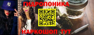 соль ск Канаш