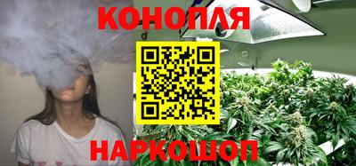 гидропоника Кимры
